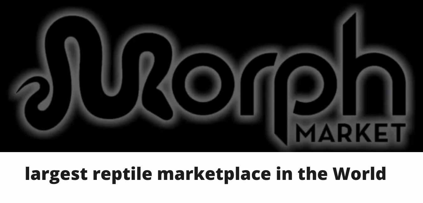 MorphMarket: LARGEST reptile marketplace in the World